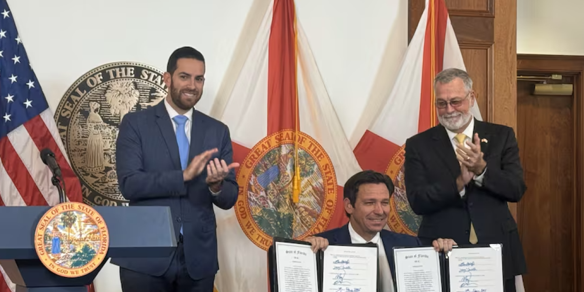 download - 2025-02-20T130059.688